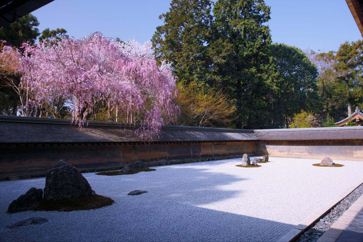 龍安寺の絶景|ZEKKEI Japan