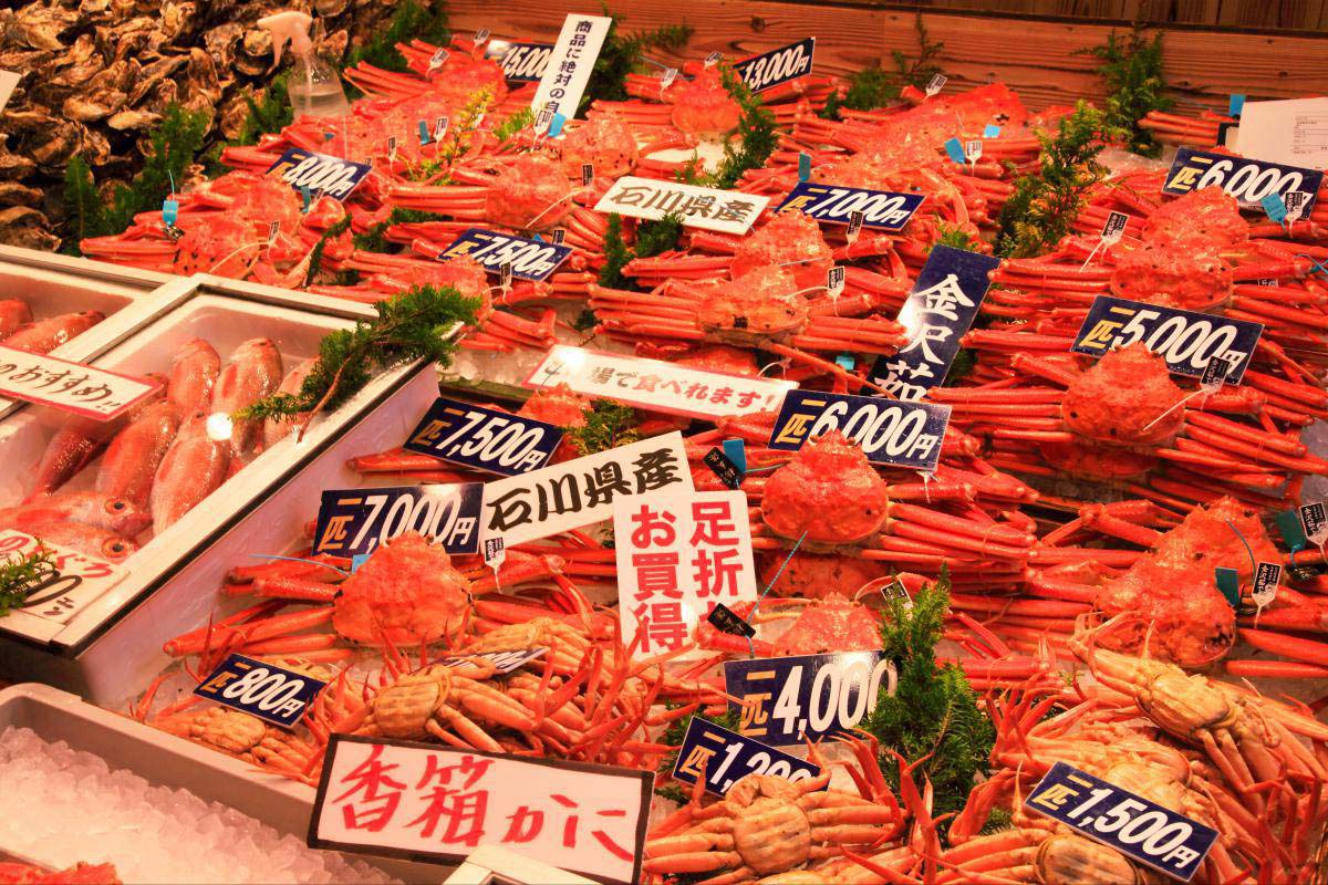 近江町市場の絶景｜ZEKKEI Japan