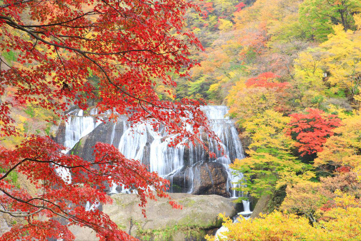 新滝袋田の滝, 袋田の滝 マップ – OHZXC