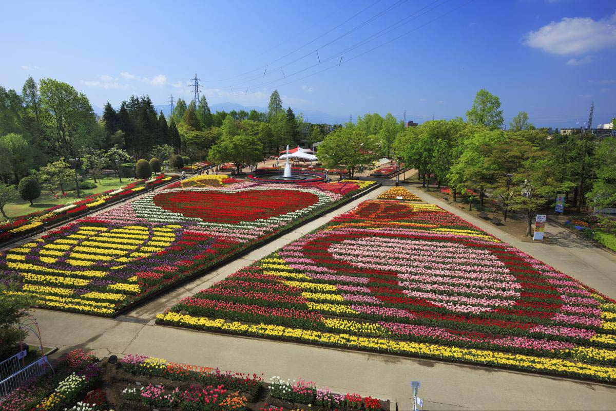 砺波チューリップ公園の絶景|ZEKKEI Japan