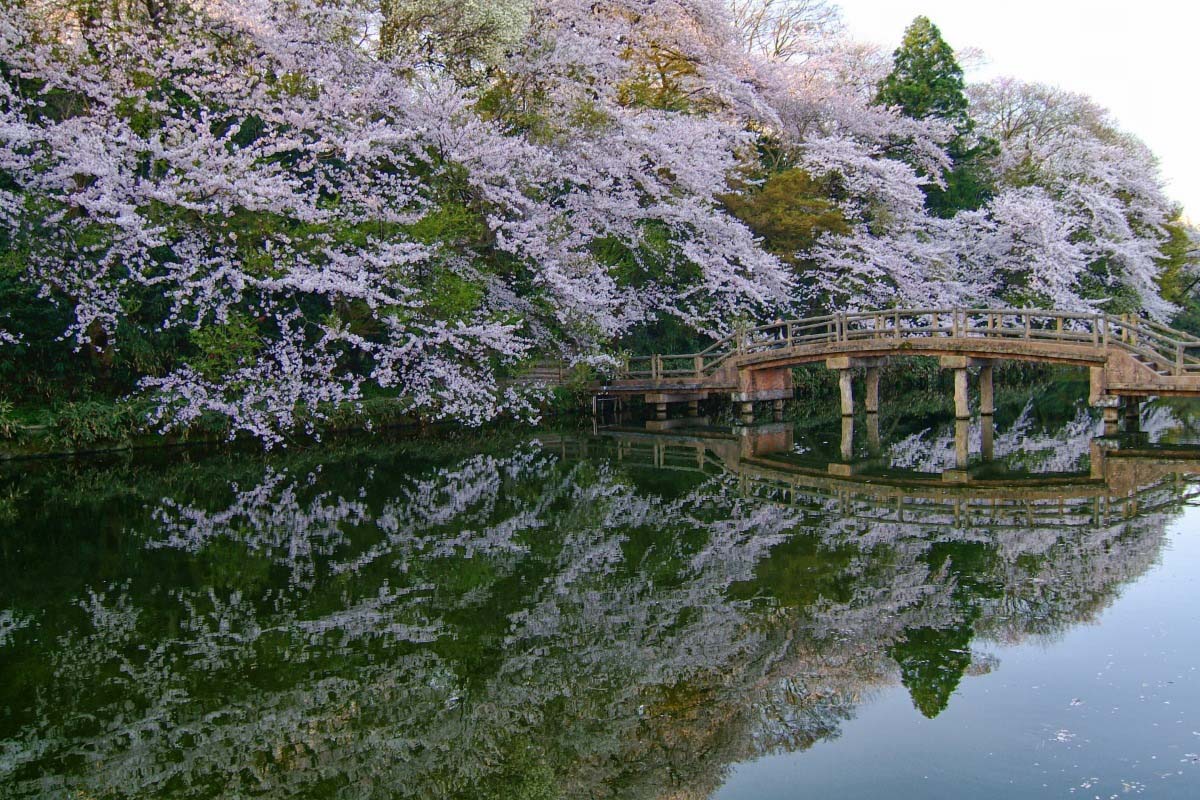 Takaoka Castle Park Zekkei Japan