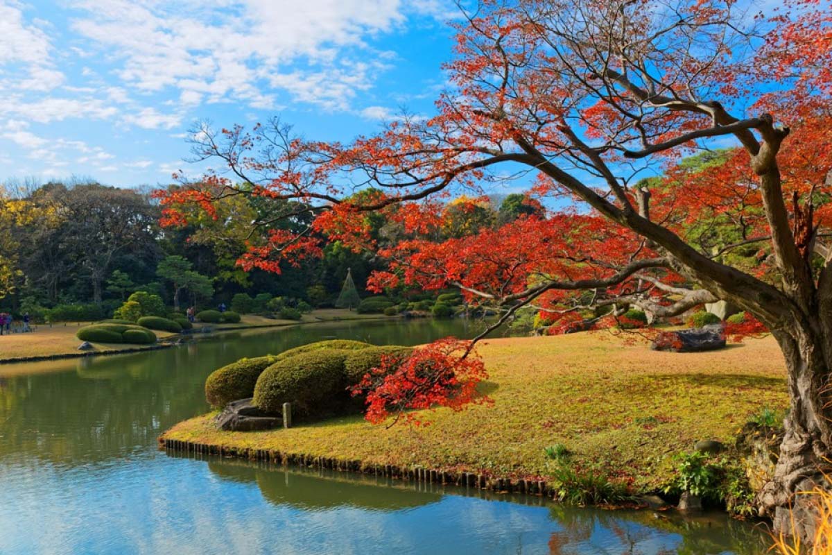 六義園の絶景｜ZEKKEI Japan