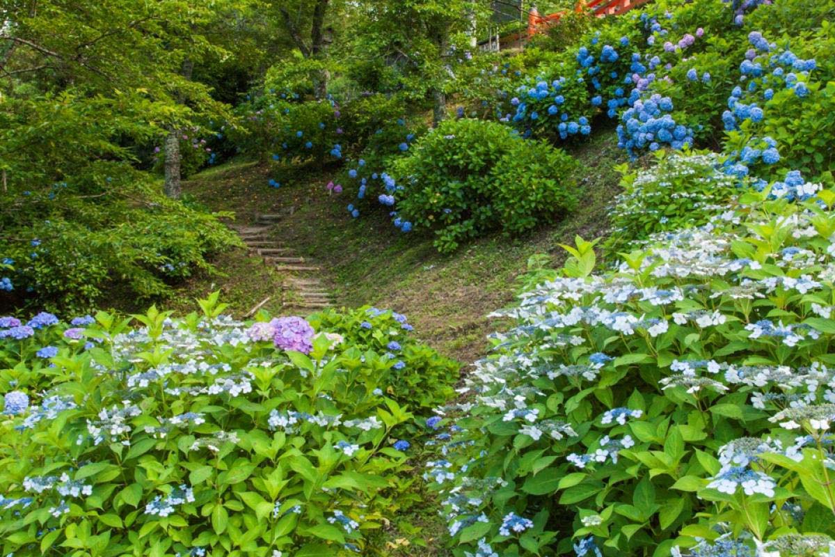 山口保吉「芳花鶴水園の聖地」　山口究宗堂　神風串呂　三河吉野朝　古代神都東三河 ◇奥州矢吹宿～三十三観音摩崖仏と春の訪れ』西白河・岩瀬(福島