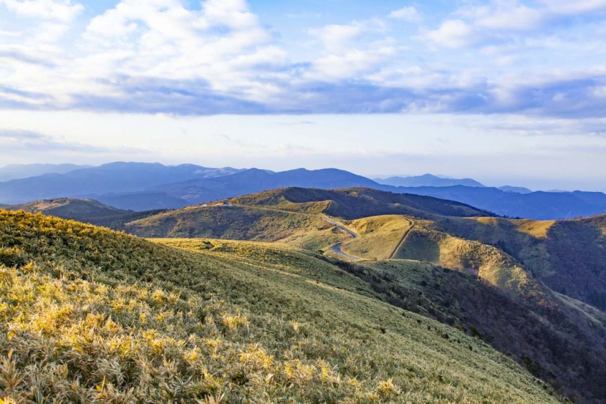 達磨山
