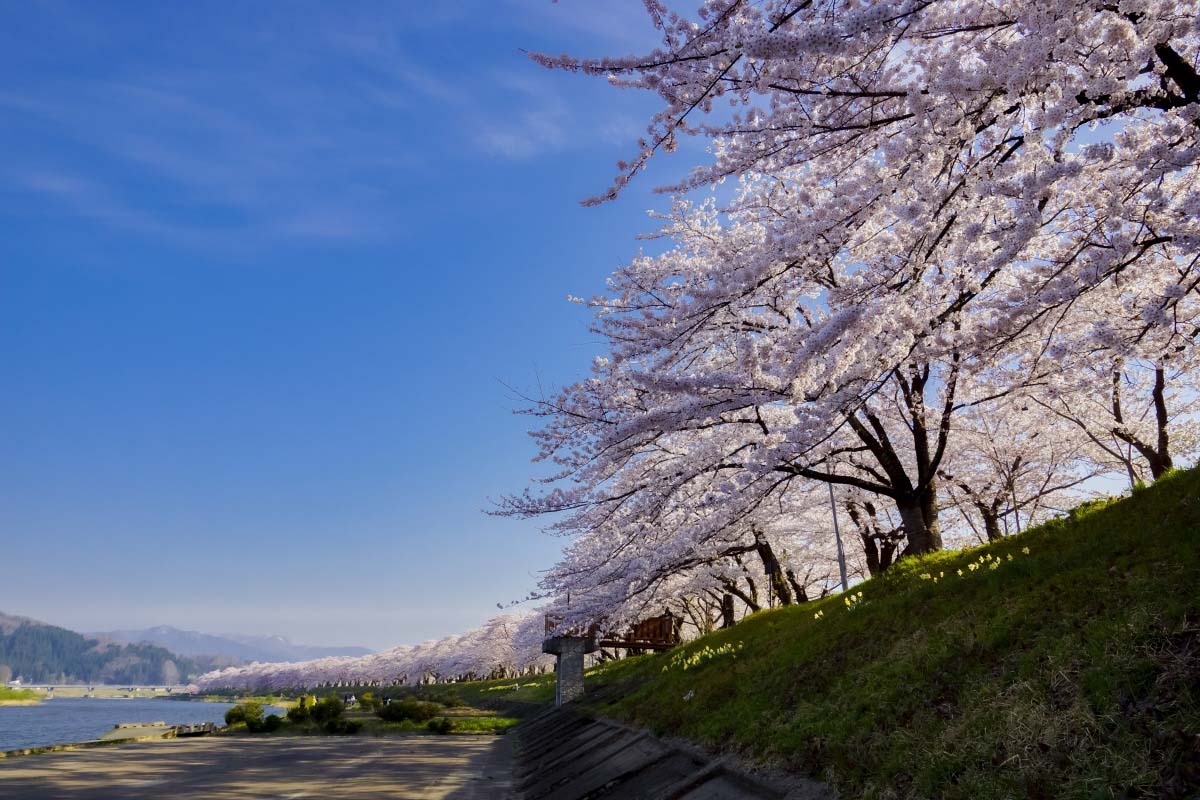 木内 PC水栓柱 | 商品のご案内 | SANEI｜デザイン性に優れた水まわり