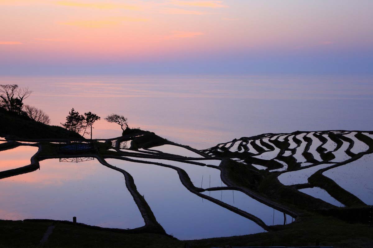 白米千枚田|石川県能登輪島の棚田