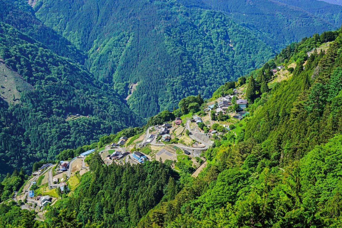 下栗の里　日本鹿　スカNo.8 下栗之里