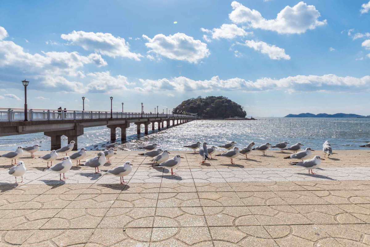 竹島園地周辺の絶景地図｜ZEKKEI Japan
