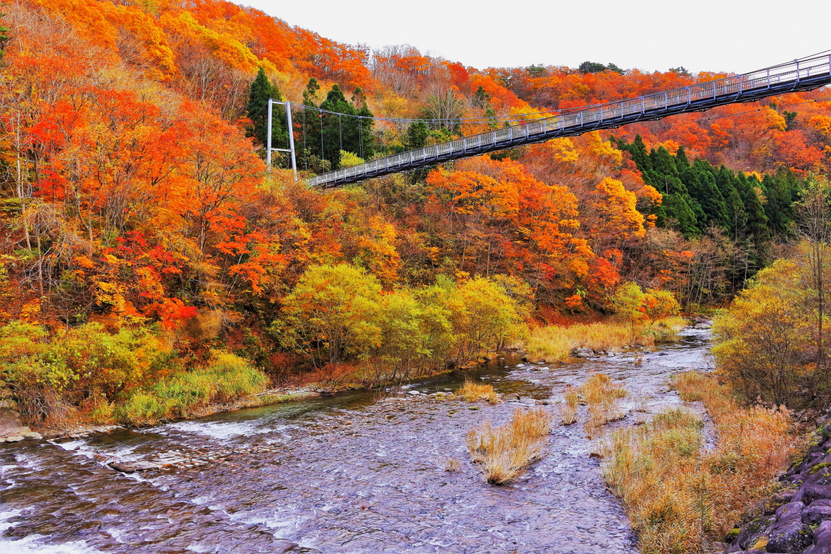 やまびこ吊り橋