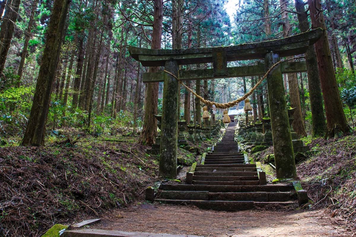 上色见熊野座神社的景点资讯|绝景日本