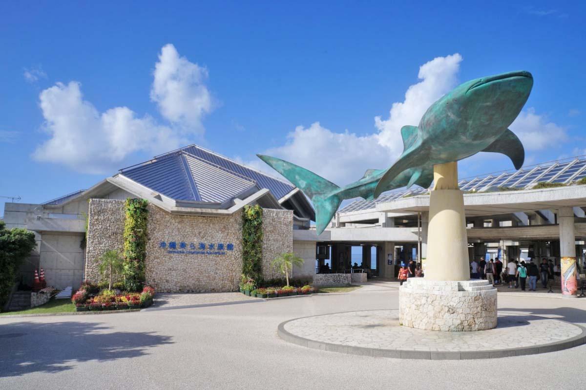 冲绳美丽海水族馆的景点|绝景日本