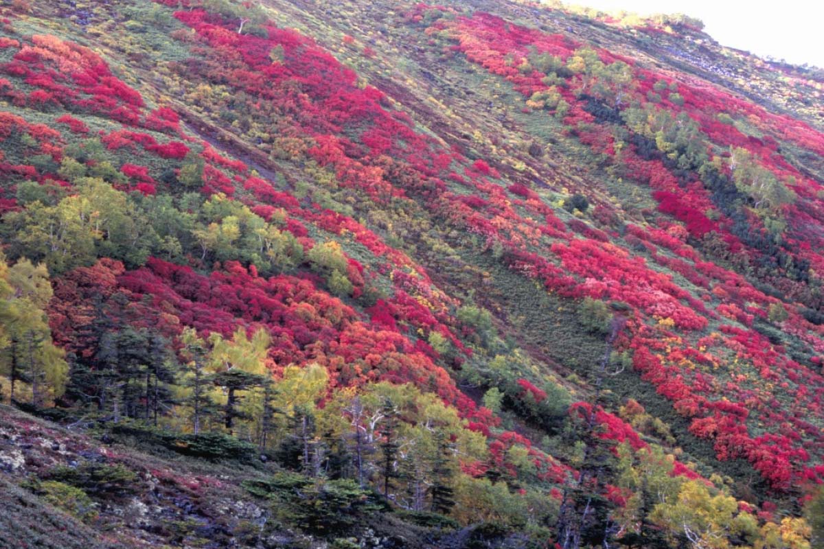 Tokachi mountain range