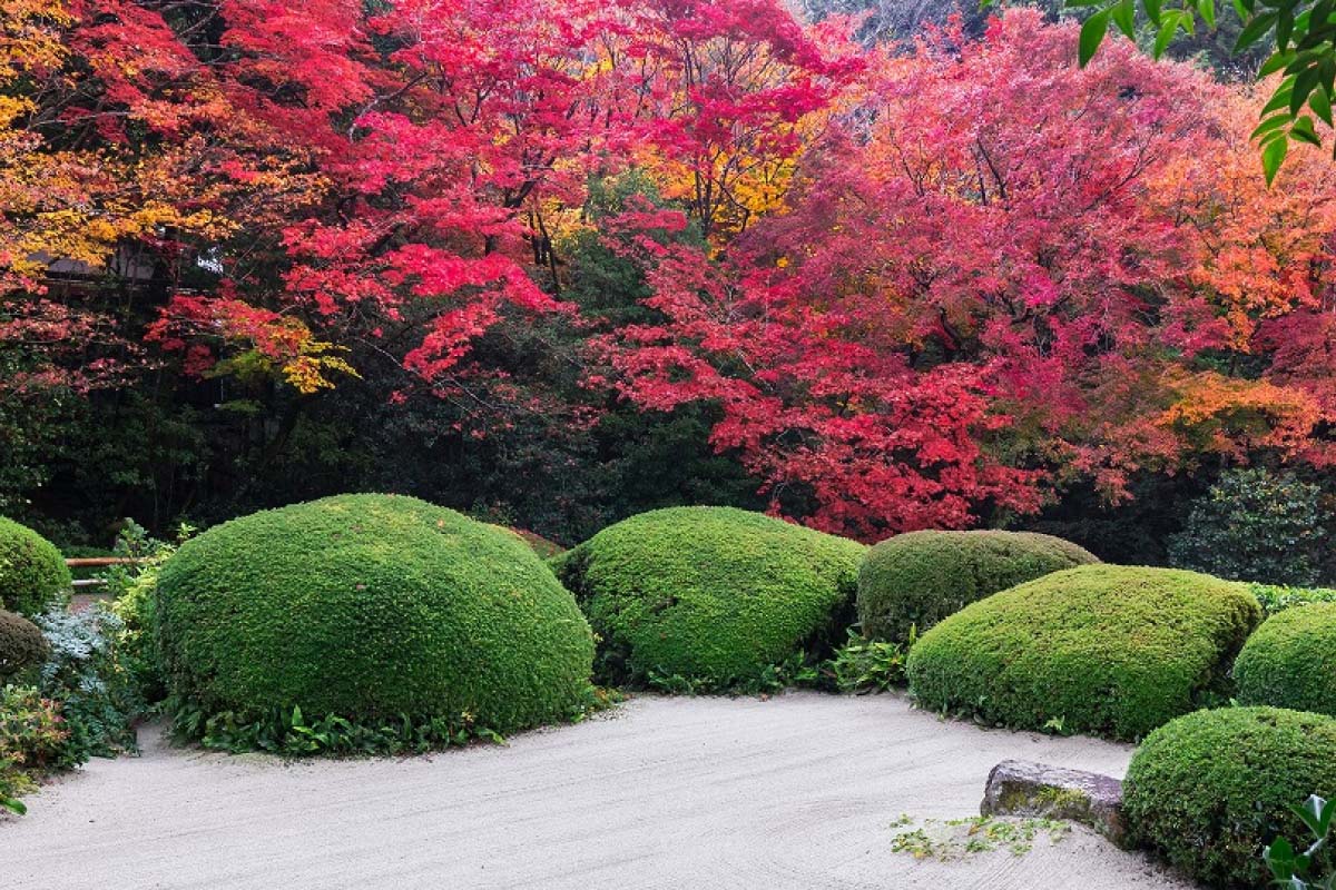 詩仙堂 詩仙堂の絶景｜ZEKKEI Japan