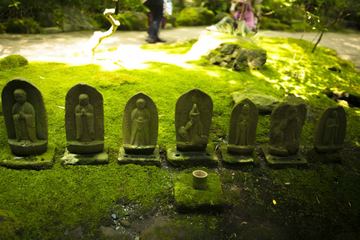 報国寺 の絶景 Zekkei Japan