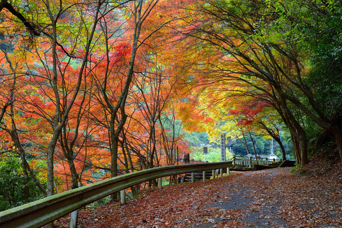 雄淵・雌淵公園