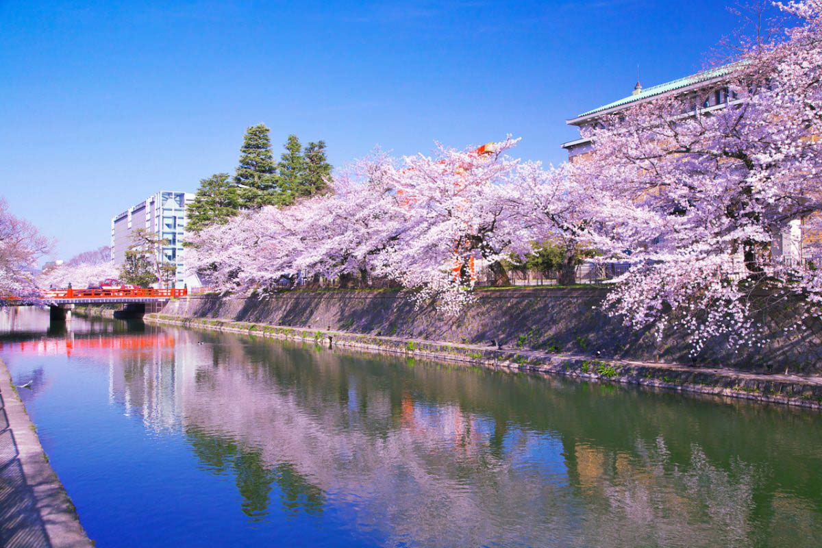 岡崎公園の絶景｜ZEKKEI Japan