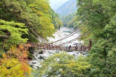 祖谷のかずら橋