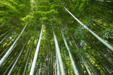 竹林37 FW25新着】アルパイン GORE-TEX C-KNIT™ 3L シェル ジャケット