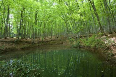 星峠の棚田の絶景 Zekkei Japan