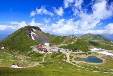 norikura skyline 50束 稲藁 完全無農薬 Mt. Norikura