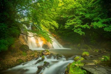 男池湧水群的景點資訊 絕景日本