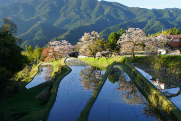 青山高原 青山高原