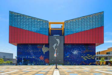 海遊館ミュージアム 生きているミュージアム ニフレル - 見どころ、アクセス & 周辺