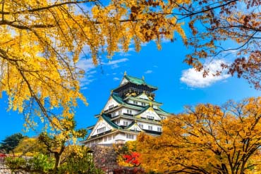 大阪城ネイチャーウオッチング 初めてのバードウォッチング 大阪城公園 - 旅の本棚 スタッフ ブログ