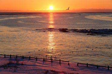 雄武町日の出岬キャンプ場