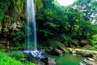 裏見の滝自然花苑