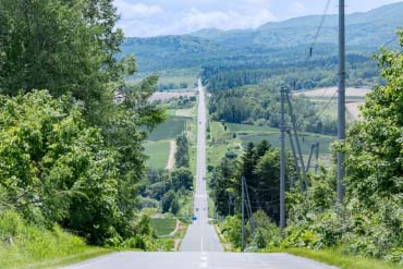 * antique tree ୨୧⸝.·*° 白いベルがかわいい サマーツリー antique tree ୨୧⸝.·*° 白いベルがかわいい サマーツリー