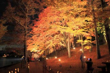 Asahigaoka Lakeside Greenspace Park