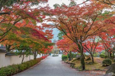 桜島の絶景スポット｜ZEKKEI Japan (0/0)