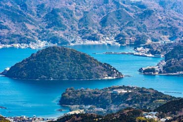 達磨山