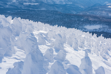 Hakkoda Mountains Rime on Trees (Snow Monsters)