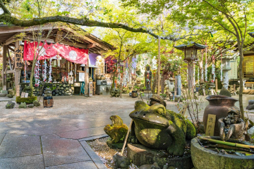 秋月城舊址的景點資訊 絕景日本