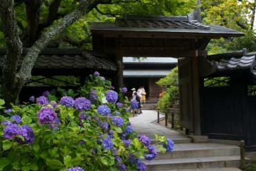 東慶寺的景點資訊 絕景日本