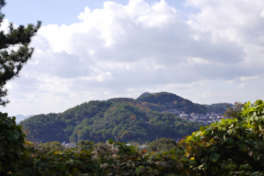 高津子山（章魚頭姿山）展望台
