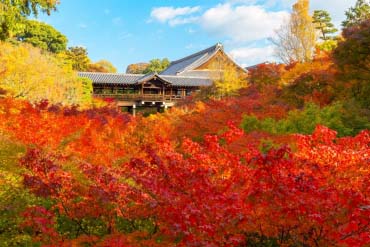 東福寺