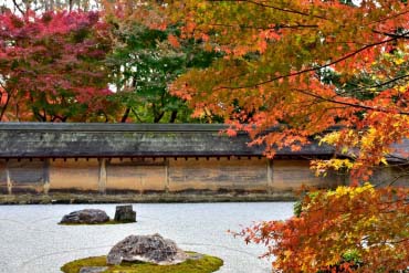 龙安寺的景点 绝景日本