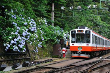 箱根登山鉄道
