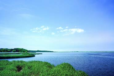濤沸湖