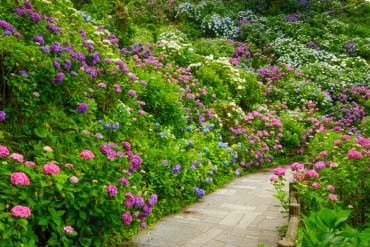 下田公園的景點資訊 絕景日本