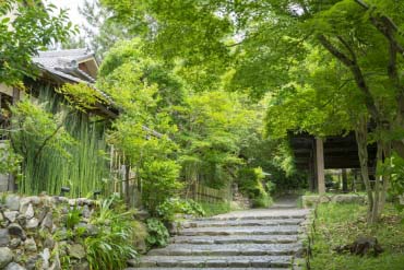 円山公園