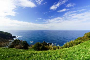 （269）越前海岸の紋石、美石たち③（参考） 打製石鏃その1／小松市ホームページ